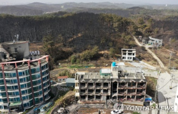 [강릉산불 르포] 쑥대밭 된 경포의 자랑 '송림'…마을 수호신 소나무도 피해