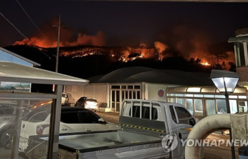 홍성·대전서 대형 산불…'산불 3단계' 밤샘 진화