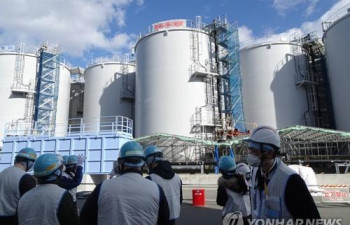 후쿠시마 오염수 방류 이슈에도…1분기 일본 어패류 수입 증가