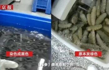 중국 수산물 가공업체, 살균제로 해삼·전복 세척