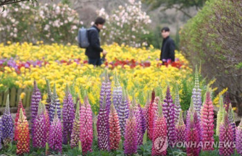 제주·남해안에 봄비…수도원·충남·전북 미세먼지 '나쁨'