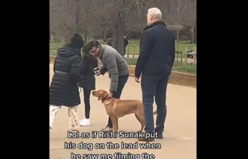 영국 총리, 공원에서 개 목줄 풀어놨다가 경찰 지적받아